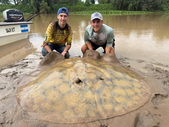Pesca, Colonia San José, En Las Cañas Pescan y Devuelven al Río Una ...